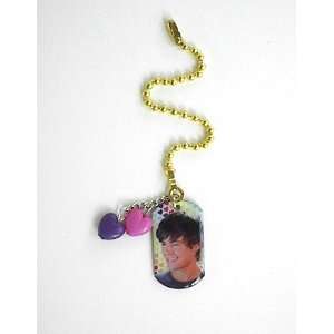   School Musical Ceiling Fan Light Pull #5 Zac Efron: Everything Else