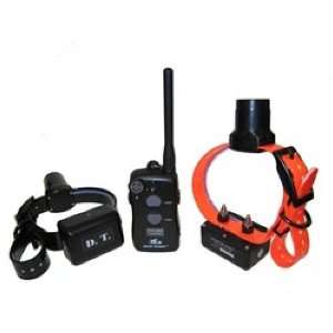  D.T. Systems EZT 5002 Remote Dog Trainer: Sports 