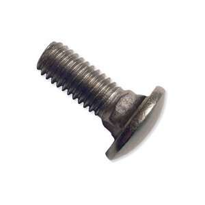  1/4 S/S Carriage Bolts 1/4 20 x 8: Home Improvement