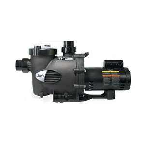   Plus HP PHPF High Head Full Rated 1 HP Pool Pump: Patio, Lawn & Garden