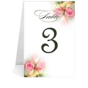   Table Number Cards   Rose Pink Baby Twins #1 Thru #29: Office Products