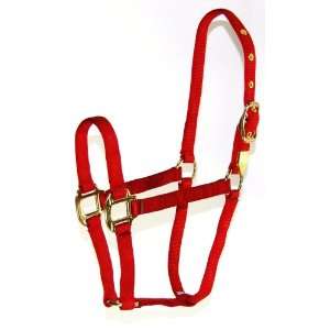   Arabian Horse Halter for 500 to 800 Pound Horse, Red: Pet Supplies