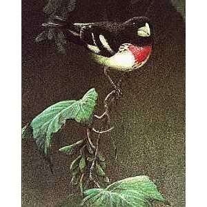  Robert Bateman   Rose Breasted Grosbeak Lithograph