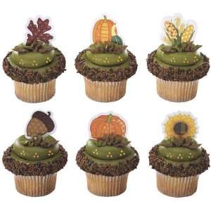 Fall Harvest Cupcake Picks 12 Pack:  Kitchen & Dining