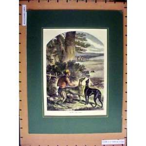  Hand Coloured C1880 Hunting Hounds David Riot Horses