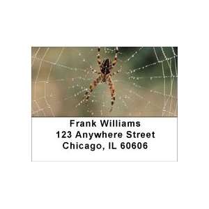  Spider Webs Address Labels: Office Products