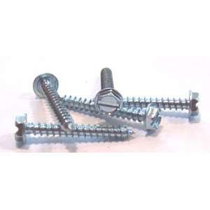   Hex Washer Head / Serrated / Type AB / Steel / Zinc / 2,000 Pc. Carton