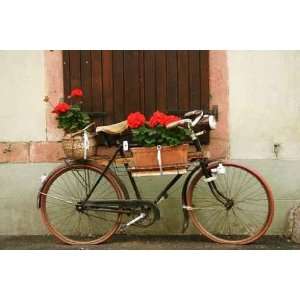  Alsatian Bike in Flowers   Peel and Stick Wall Decal by 