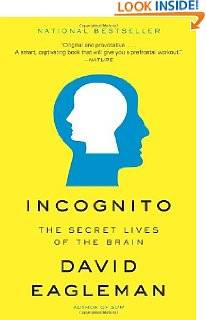 Incognito The Secret Lives of the Brain (Vintage)