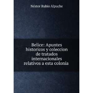   internacionales relativos a esta colonia .: NÃ©stor Rubio Alpuche
