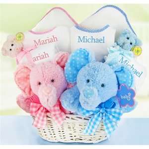  Personalized Double The Blessings Twins Baby Gift Basket 