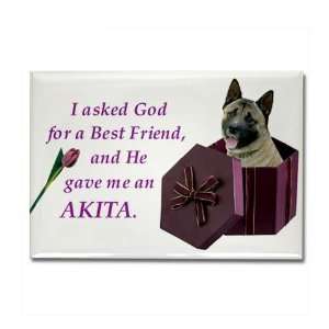  Akita Funny Rectangle Magnet by  Kitchen 