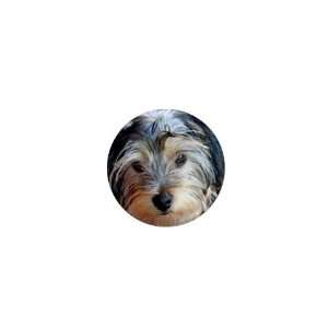  Yorkshire Terrier Puppy Dog 3 1in Button C0654: Everything 