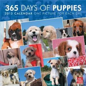  I Love 365 Days Puppies 2013 Wall Calendar 12 X 12 