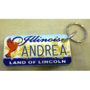  Illinois Land of Lincoln Andrea Keychain, Key Holder 