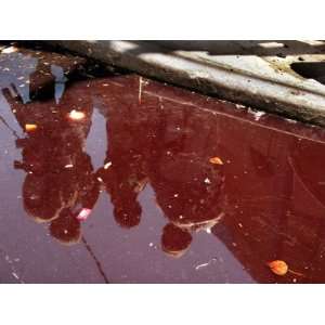  U.S. Soldiers are Seen Reflected in a Pool of Water and 