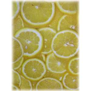   12 Lemon Decor Fruit Corkboard Cork Bistro Placemats