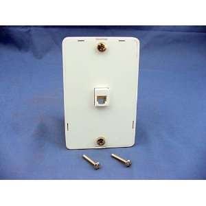   Hanging Pins, Type 630A, 1 Modular 6P4C Jack   White