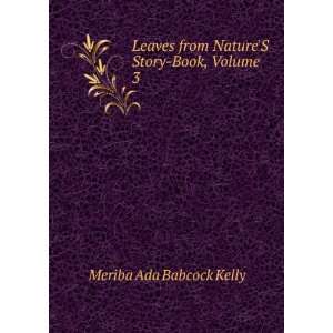   Story Book, Volume 3: Meriba Ada Babcock Kelly:  Books