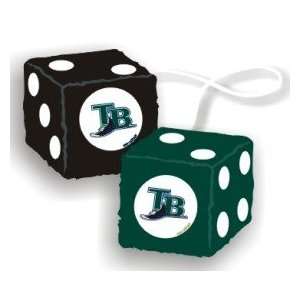  Tampa Bay Devil Rays Fuzzy Dice: Sports & Outdoors