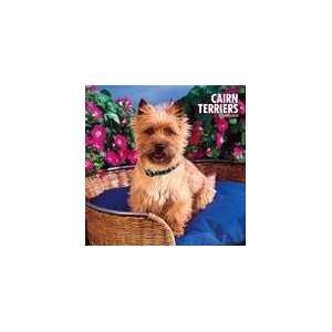  Cairn Terriers 2008 Wall Calendar: Office Products