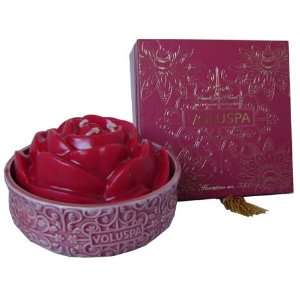  Floraison Mignonette Rose Shaped Candle