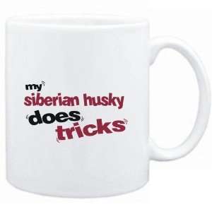   : Mug White  MY Siberian Husky DOES TRICKS  Dogs: Sports & Outdoors