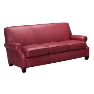   Tyler Leather Full Sleeper Sofa w/ Down Seat Upgrade: Home & Kitchen