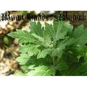   MaGiCk~1/2 oz. Mugwort~Herb~Psychic powers~protection~Wicca~New Age