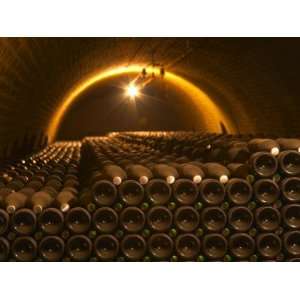  Champagne Bottles in Vaulted Cellar, Champagne Deutz, Ay 