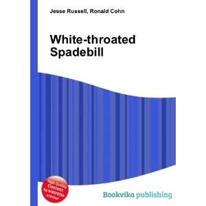  White throated Spadebill Ronald Cohn Jesse Russell Books