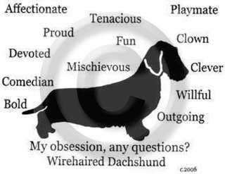 Dachshund Wirehaired Dog Obsession?Longsleeve T shirt  