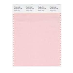   SMART 12 1212X Color Swatch Card, Veiled Rose: Home Improvement