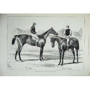  1879 Horses Winners Derby Oaks Wheel Fortune Sir Bevys 
