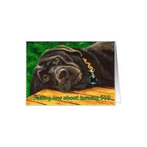  Funny Birthday ~ 56 Years Old ~ Labrador Dog Card: Toys 