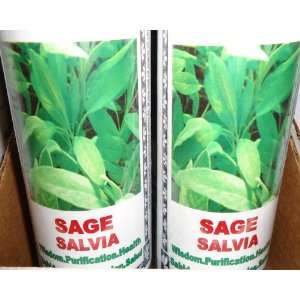  Sage   Salvia Prepared 7 Day Candle 