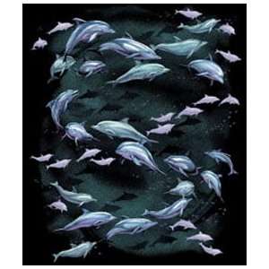  T shirts Sea Life Aquatic Dolphin School 3xl Everything 