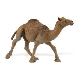  Safari Wild Safari Wildlife Dromedary Camel Toys & Games