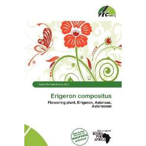    Erigeron compositus (9786138457060) Columba Sara Evelyn Books