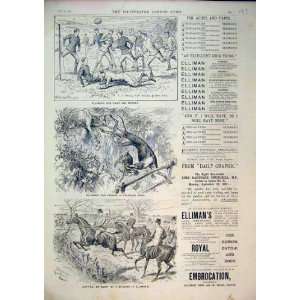  1892 Advert EllimanS Embrocation Horse Hounds Hunting 