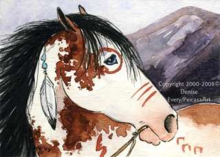ACEO PRINT Bay Pinto Paint Indian War Pony Horse Art  