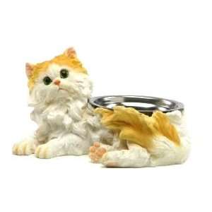   : Kitty Cat FOOD DISH pet supply feeding water Bowl NEW: Pet Supplies