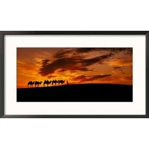  Camel Caravan Silhouette, Silk Road, China Framed 