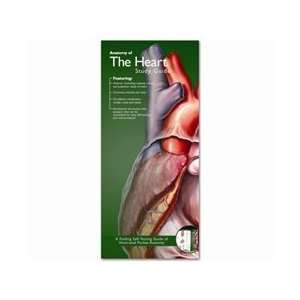 Anatomy of the Heart Pocket Study Guide   2nd Edition:  