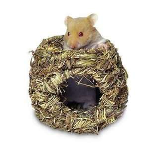  Top Quality Grassy Roll   a nest Small: Pet Supplies