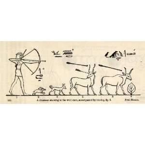 1854 Woodcut Ancient Egyptian Bow Arrow Hunter Wild Ox Hieroglyphics 
