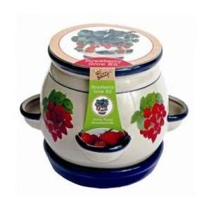  Ceramic Grow Pot   Strawberries 