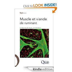 Muscle et viande de ruminant (Synthèses) (French Edition) Dominique 