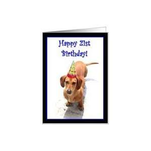  Happy 21st Birthday Dachshund Card: Toys & Games