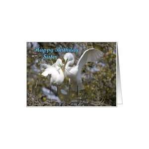  Sister birthday, Egrets Nest Building Card: Health 